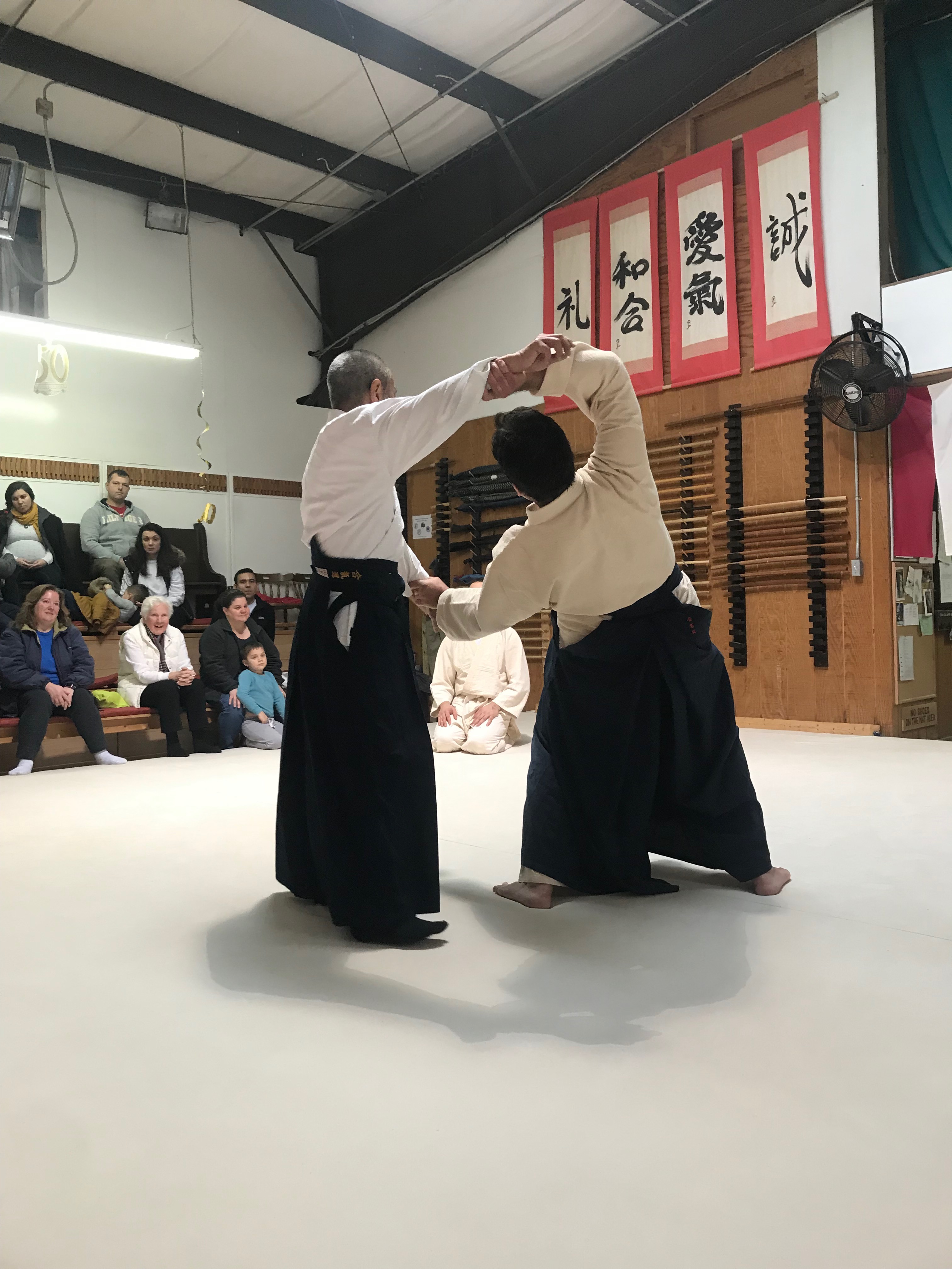 aikido family-10
