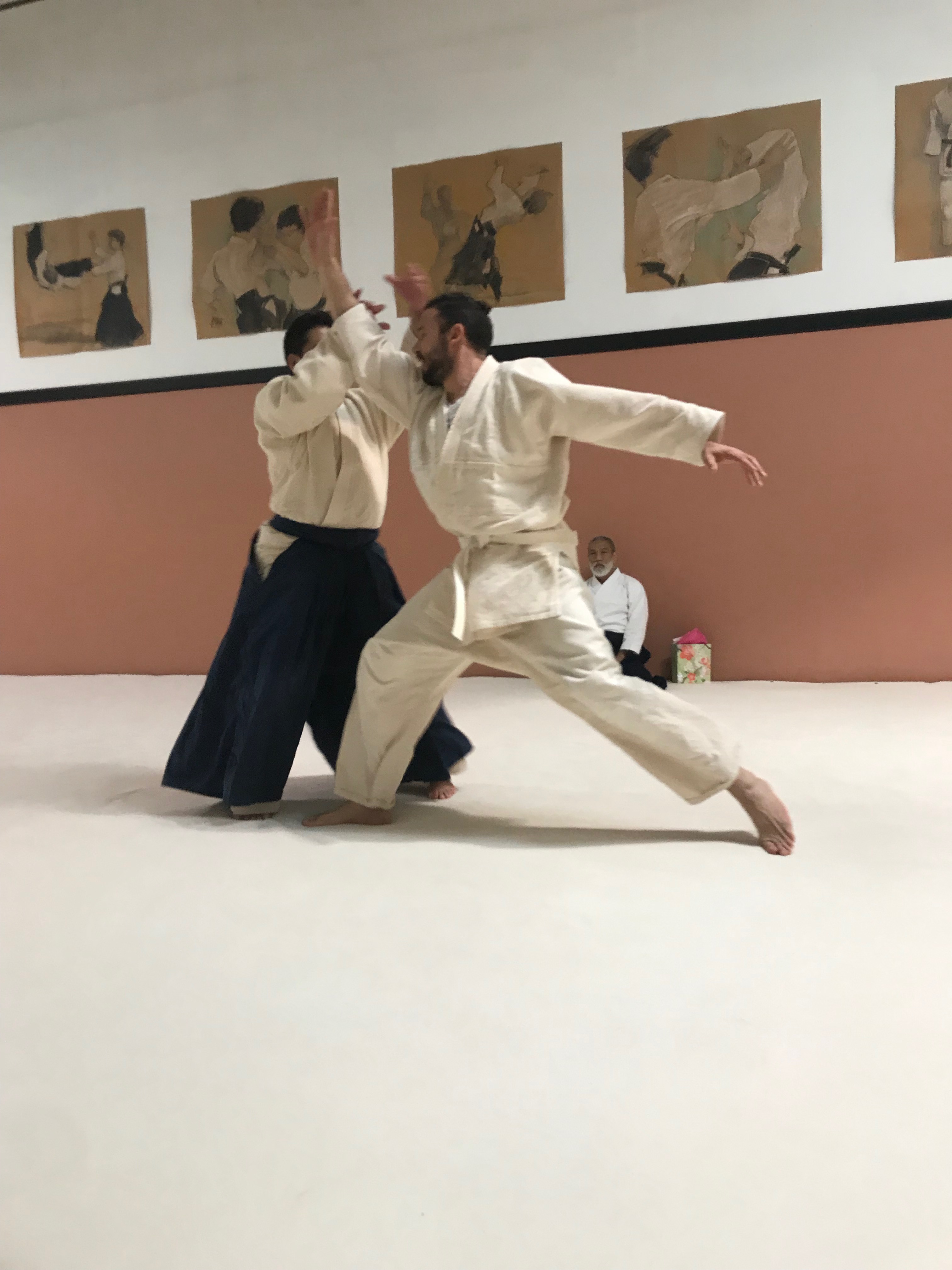 aikido family-14