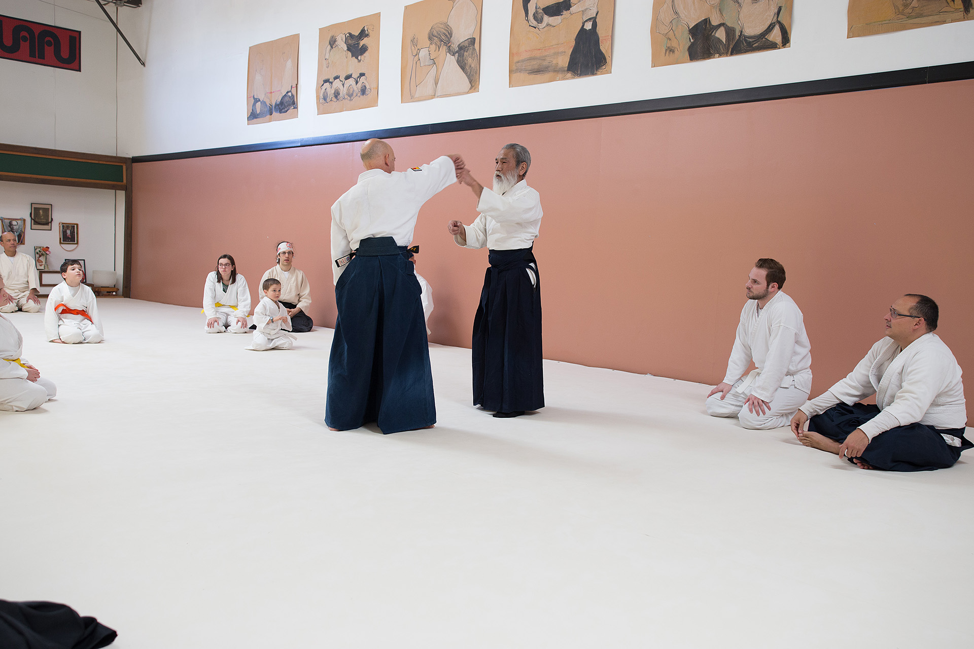 aikido is pic 5